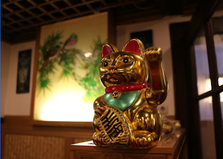 Asiatische Winkekatze